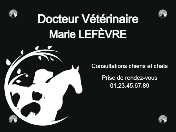 Plaque vétérinaire professionnelle en aluminium noir fixation vis-cache — Plaque Vétérinaire