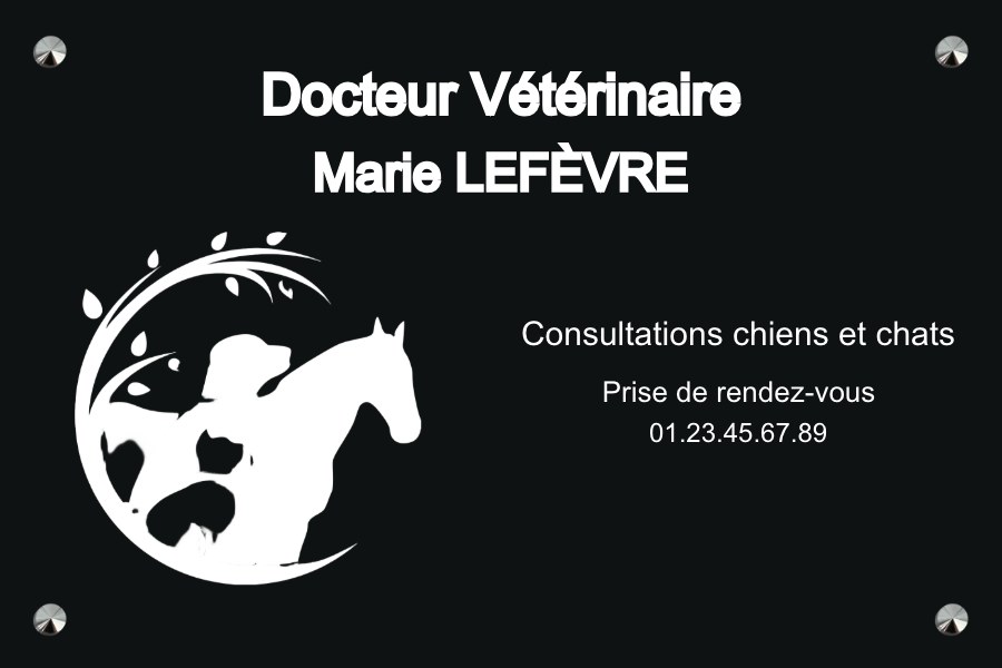 Plaque vétérinaire professionnelle - Aluminium noir • 300x200 mm • Vis avec cache-vis